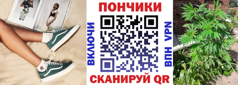 Марихуана гибрид  Донской 